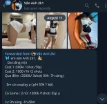 1786411918179.webp